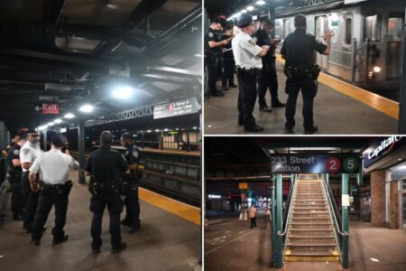 28-year-old stabbed in chest and multiple times in neck on board subway, survives: cops