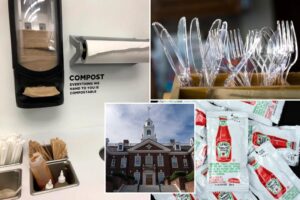 Restaurants may be banned from handing out ketchup packets, napkins under Delaware bill