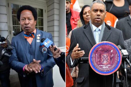 Two disgraced ex-NYC council members seek comebacks in Democratic Party primaries