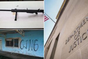 Illegal immigrant who trafficked heavy-duty guns to Mexican drug cartel hit with federal prison sentence, faces deportation