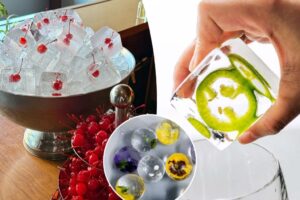 Exclusive | Cocktail-sipping New Yorkers looking to beat the heat with a side of ‘fancy’ ice — and bars are happy to pay for the upgrade