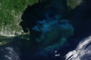 Satellite Image Reveals Unexpected East Coast Phenomena: ‘Impressive’