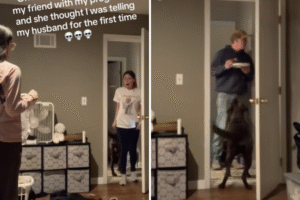 Horror as Woman Thinks She’s Crashed Friend Announcing Pregnancy to Husband
