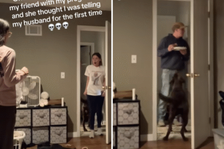Horror as Woman Thinks She’s Crashed Friend Announcing Pregnancy to Husband