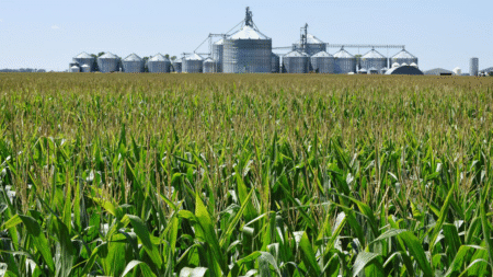 Chinese ‘agroterrorism’ could threaten US ‘survival as a nation,’ expert warns