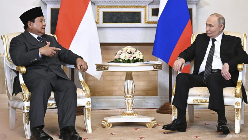 Russia’s Putin meets Indonesia’s Prabowo in St Petersburg in bid to deepen ties