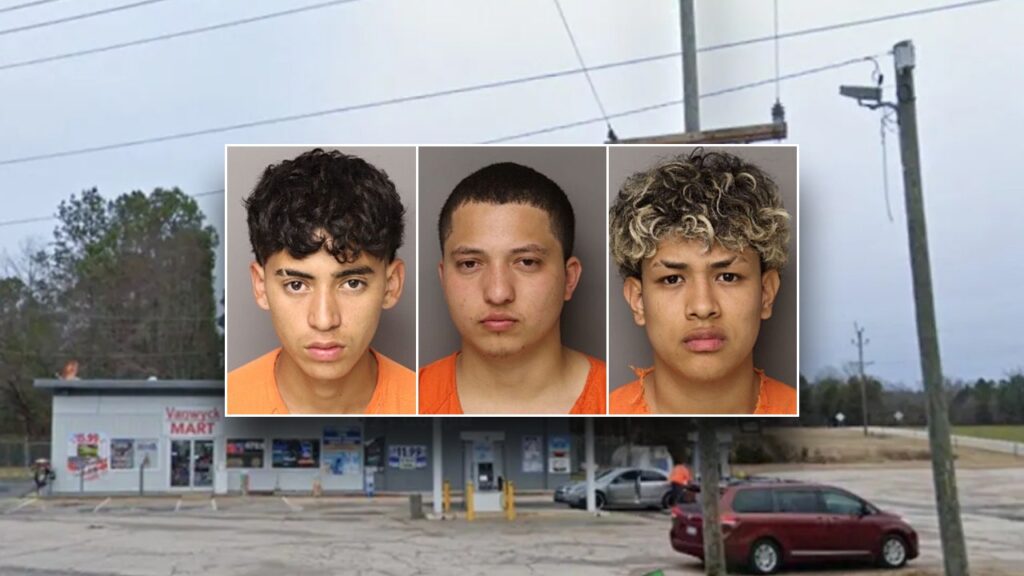 Americans at risk ‘anywhere’ after 6 illegal immigrants are charged in mother’s murder: congressman