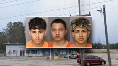 Americans at risk ‘anywhere’ after 6 illegal immigrants are charged in mother’s murder: congressman