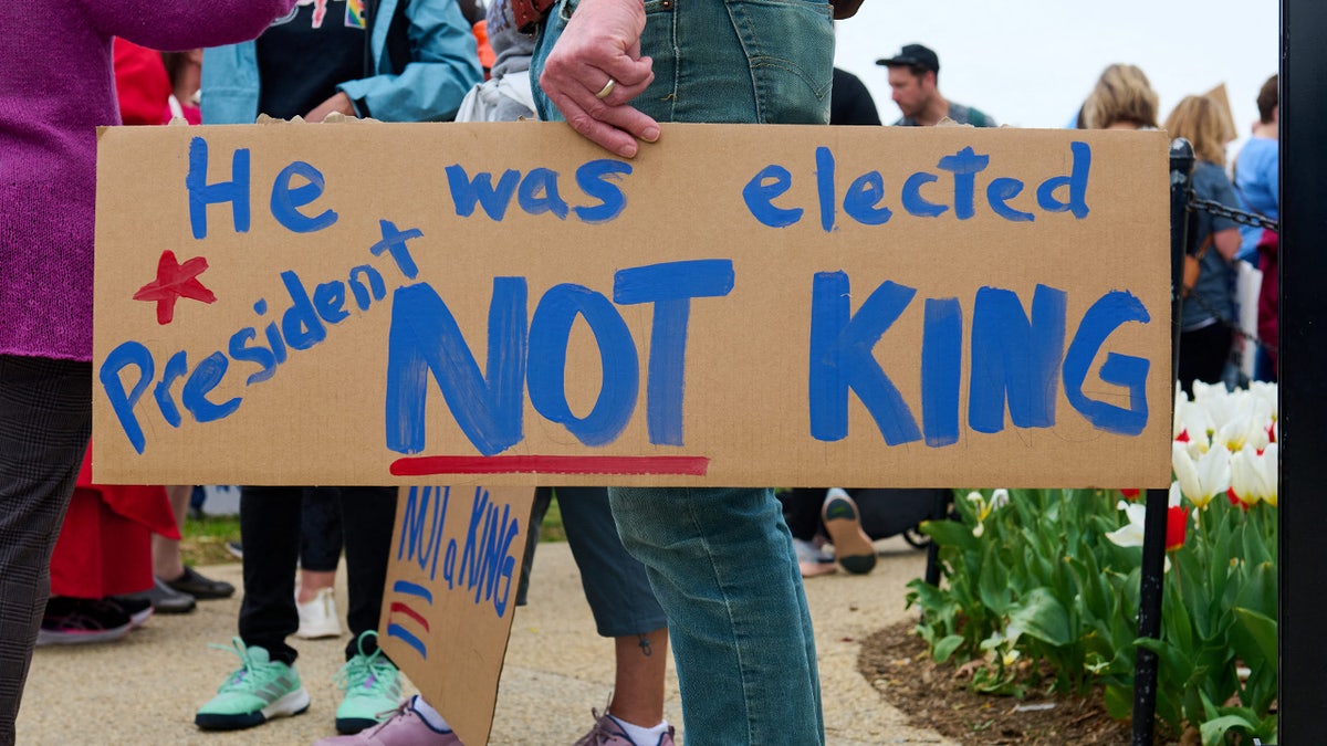 Protesters gather on the National Mall
