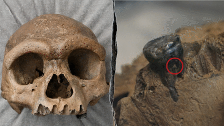 Mysterious ‘dragon man’ skull found in the 1930s finally identified