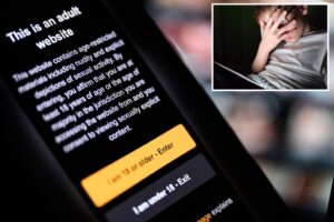 Supreme Court rules on Texas age verification law for adult websites