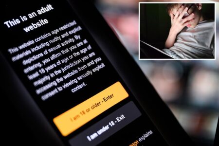 Supreme Court rules on Texas age verification law for adult websites