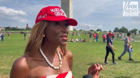 Military parade draws patriotic Americans from near and far: ‘No better time to come to DC’