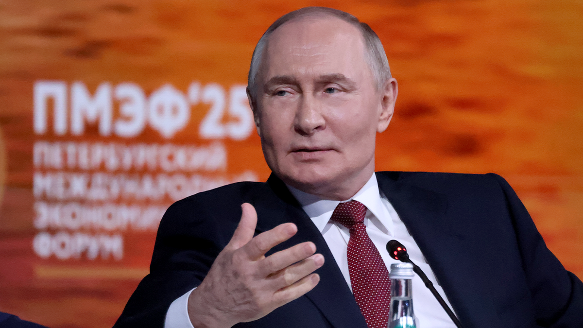 vladimir putin