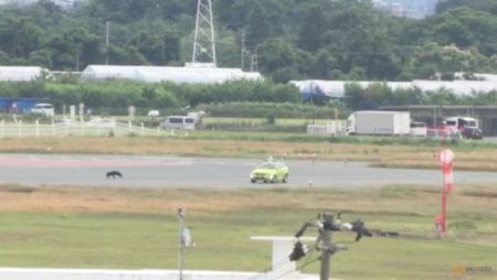 Bear roaming runway halts flights at Japanese airport