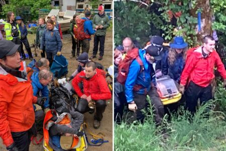 Hiker rescued after falling out of tree and getting lost in Washington woods for nearly a week