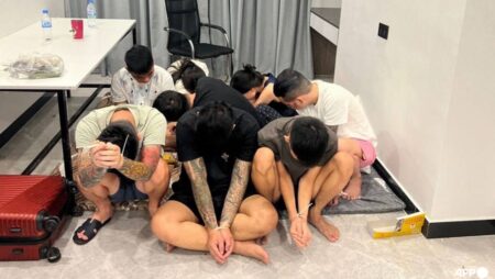 Cambodia arrests over 200 Vietnam citizens in cyberscam crackdown