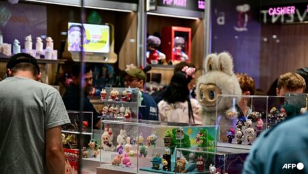 Shanghai police bust gang selling counterfeit Labubu toys
