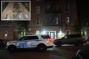 Jealous NYC man fatally stabs girlfriend, cops say: ‘He told me he loved her so much’