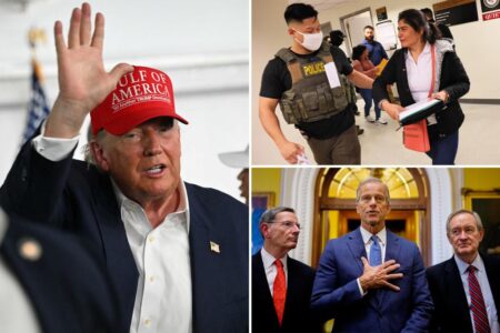 ‘Big beautiful bill’ will ‘turbocharge’ mass deportations: WH