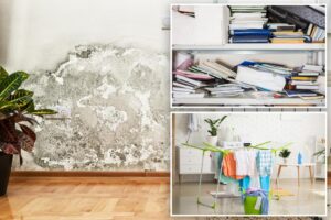Common household items that make mold growth in your home even worse