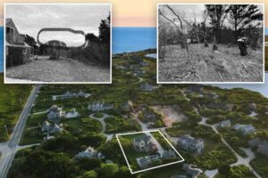 Nantucket homeowner lists property for M after chopping down neighbor’s 50-year-old trees to create ‘sweeping’ ocean views: lawsuit