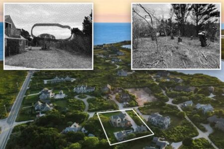 Nantucket homeowner lists property for M after chopping down neighbor’s 50-year-old trees to create ‘sweeping’ ocean views: lawsuit