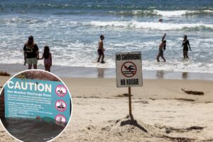 More than half of East Coast beaches tested positive for fecal contamination, shocking new study reveals — how did your vacation spot do?