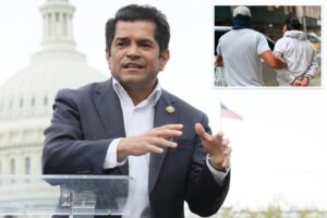 Dem Rep. Gomez claims ICE is targeting ‘anybody that is brown’ in immigration raids