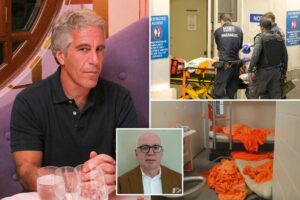 Jeffrey Epstein’s chilling final message before his death revealed