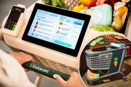 Popular supermarket chain adding AI ‘smart carts’ in game-changer for customers: ‘Transforming everyday grocery shopping’