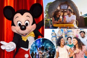 Single Disney fans are getting their own app to hook up: ‘Super excited’