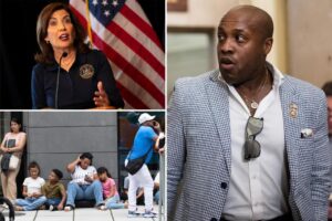 Exclusive | Rep. Wesley Hunt probes how many of New York’s 670K illegal immigrants are on Medicaid