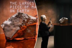 Largest Martian meteorite sells for a whopping .3M at auction: ‘Geological time capsule from another world’