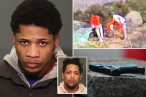 Illegal migrant arrested in NYC shooting of off-duty CBP agent was free despite long rap sheet — and suspected in scooter robbery spree: sources