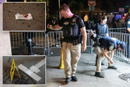 Teen charged with attempted murder for mistakenly shooting female pal in chaos outside Stonewall during Pride