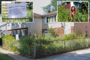 Long Islander taken to court over 6-foot-tall natural garden: ‘I can’t plant some good flowers?’