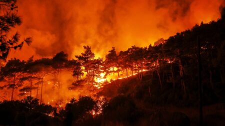 Syria appeals to EU for help battling massive wildfires in Latakia