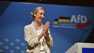 Germany’s AfD accuses Merz of election fraud as it vows image reform