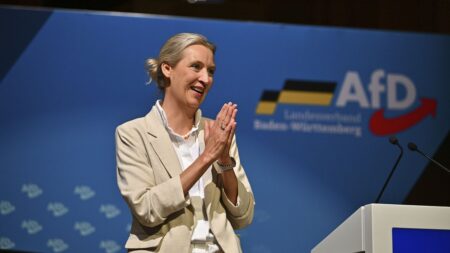 Germany’s AfD accuses Merz of election fraud as it vows image reform