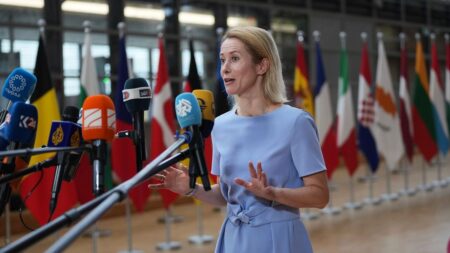 EU and Israel agree ‘substantial’ aid access for Gaza
