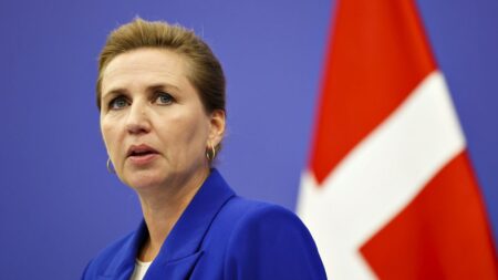 Danish PM scolds fellow EU leaders for forgetting climate change