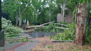 Public transport disrupted in Hungary as storms batter eastern Europe
