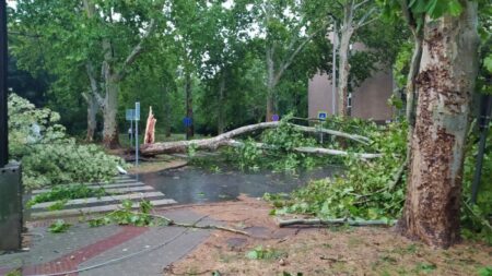 Public transport disrupted in Hungary as storms batter eastern Europe