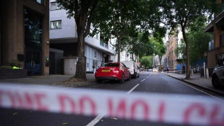 Man arrested after two killed in central London stabbing