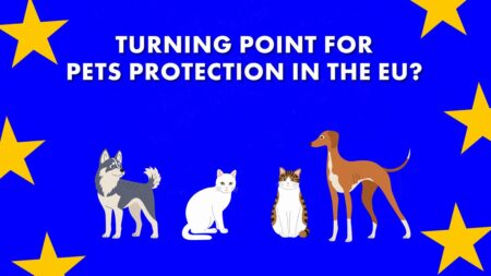 Will new animal welfare law curb illegal trade?