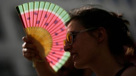 Heatwave causes excess deaths in Portugal as fires rage across Europe