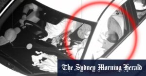 Fines looming for WA drivers doing the wrong thing