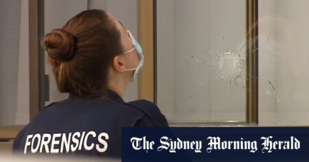 Teenage gunman allegedly shot at Sydney homes in gang war