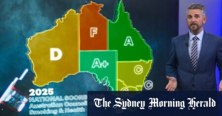 WA government targets black market vapes
